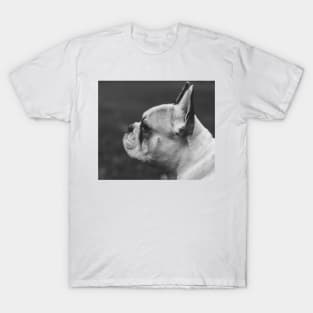 Wistful monochrome Frenchie T-Shirt